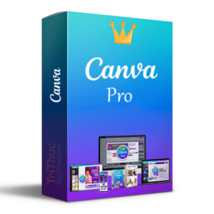 CANVA PRO A DOMINIO X1 MES