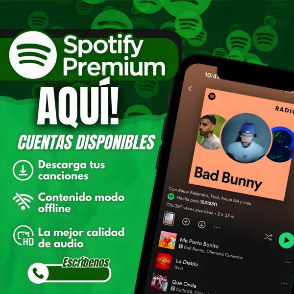 SPOTIFY PREMIUM X1 MES